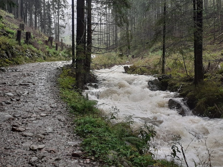 /Marcin Strączek-Helios, TPN /