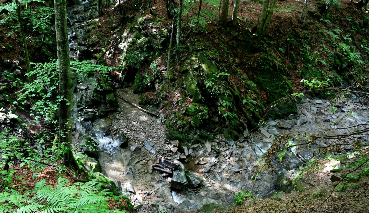 W Bieszczadach śliskie i błotniste szlaki turystyczne utrudniają wędrówki górskie. "Jest to konsekwencja tygodniowych, intensywnych opadów deszczu" - powiedział w piątek ratownik dyżurny bieszczadzkiej grupy GOPR Paweł Szopa.