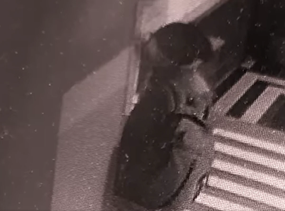 Policjanci zatrzymali mężczyznę, który uszkodził drzwi prowadzące do biura Prawa i Sprawiedliwości w Krakowie – dowiedzieli się reporterzy RMF FM. Usłyszał on już zarzut uszkodzenia mienia. 