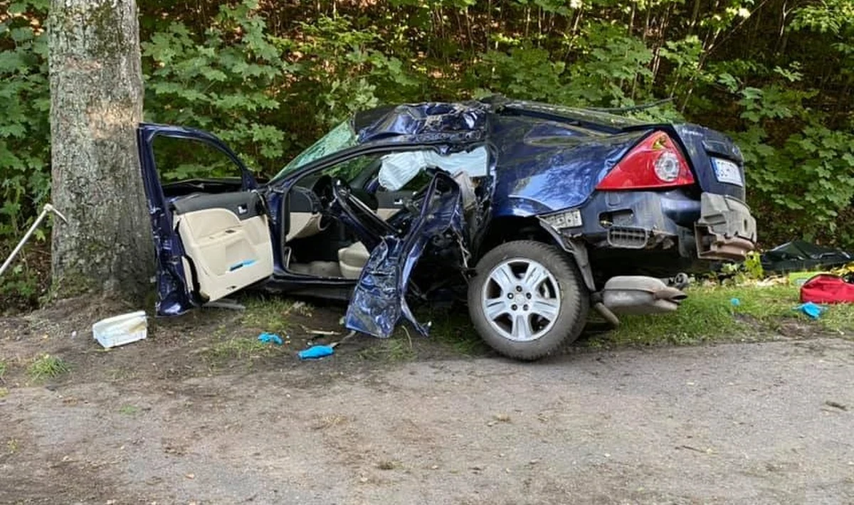 ​Tragiczny wypadek w pomorskiej gminie Cewice. W niedzielne popołudnie samochód, którym jechały cztery osoby, wjechał w drzewo. Na miejscu zginął 19-latek, zawodnik MMA. Inny z pasażerów jest w stanie ciężkim.