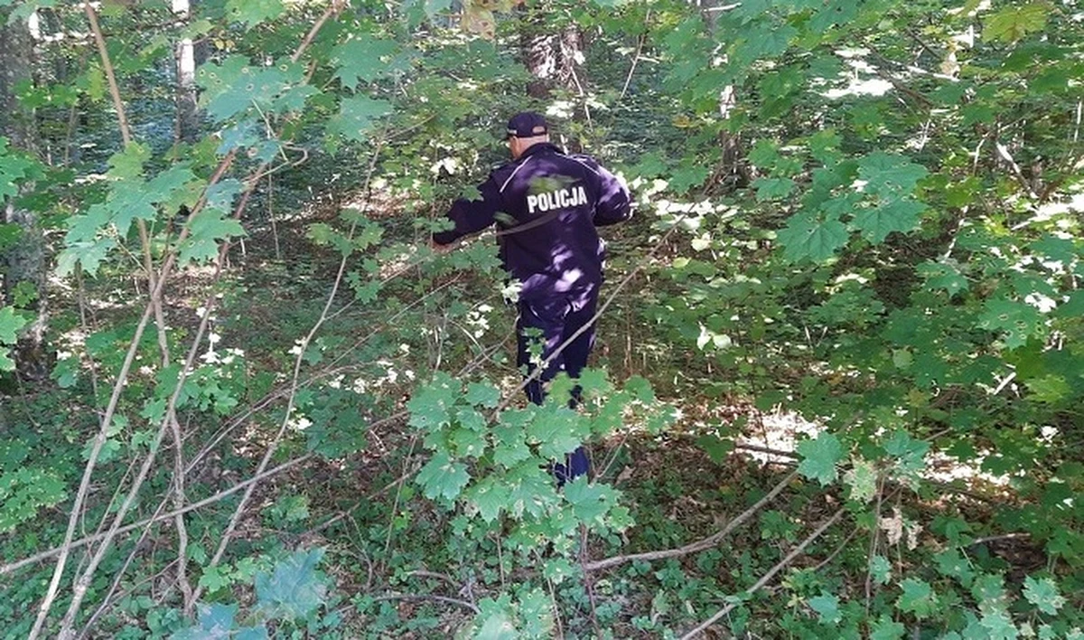 ​Tragiczny finał poszukiwań zaginionego 70-latka. Mężczyzna wybrał się na grzyby w Lęborku. Funkcjonariusze znaleźli w lesie jego ciało.