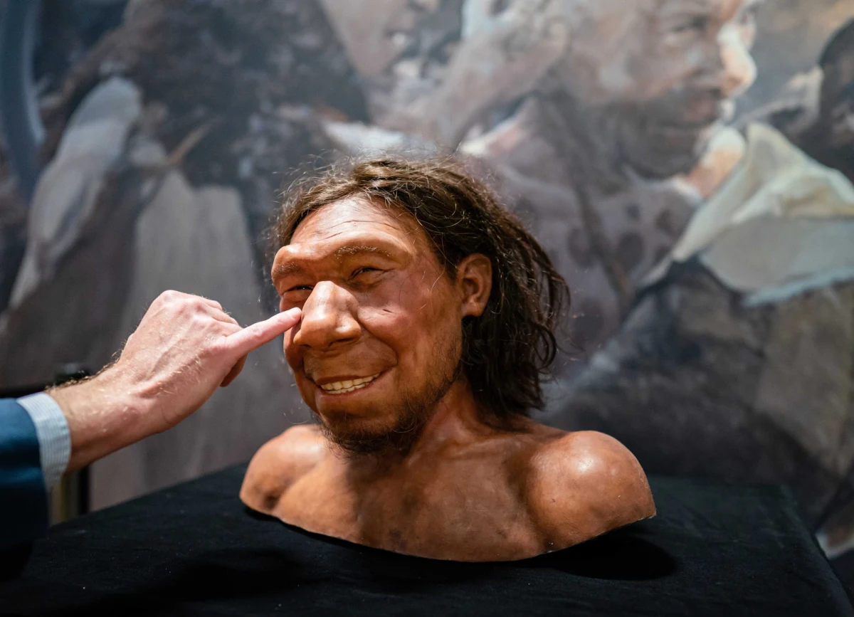 Eksperci z Narodowego Muzeum Starożytności w Lejdzie w Holandii zrekonstruowali twarz najstarszego Holendra. Krijn, nazwany tak przez naukowców neandertalczyk, żył od 50 do 70 tys. lat temu.