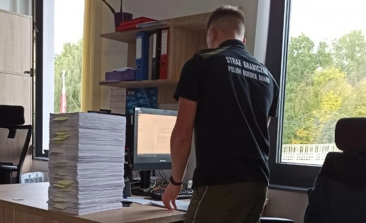 Jedna z dużych firm z powiatu nowosądeckiego (Małopolskie) nielegalnie zatrudniała 287 cudzoziemców, przede wszystkim obywateli Ukrainy, a także Mołdawii i Białorusi - ustalili funkcjonariusze Karpackiego Oddziału Straży Granicznej. 