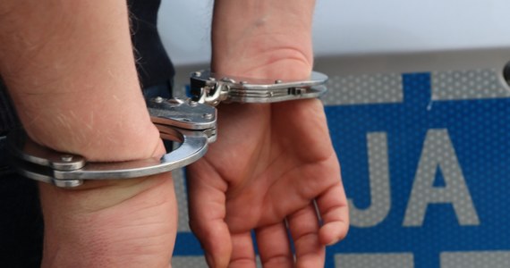 Policjanci z warszawskiego Śródmieścia zatrzymali 69-latka podejrzanego o oszustwo - poinformował PAP rzecznik śródmiejskiej policji podinspektor Robert Szumiata. 69-latek działając wspólnie w porozumieniu z zatrzymanych w lipcu 44-latkiem, posługując się sfałszowanymi dokumentami, próbował sprzedać nie swoje mieszkanie. 