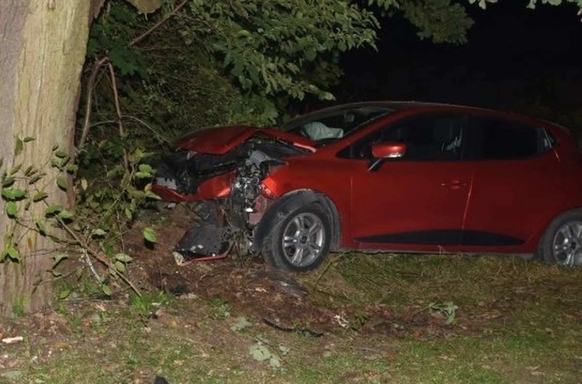 ​Wypadek w miejscowości Rogóźno w powiecie tomaszowski na Lubelszczyźnie. Samochód osobowy wjechał w drzewo. Jedna z pasażerek trafiła do szpitala.