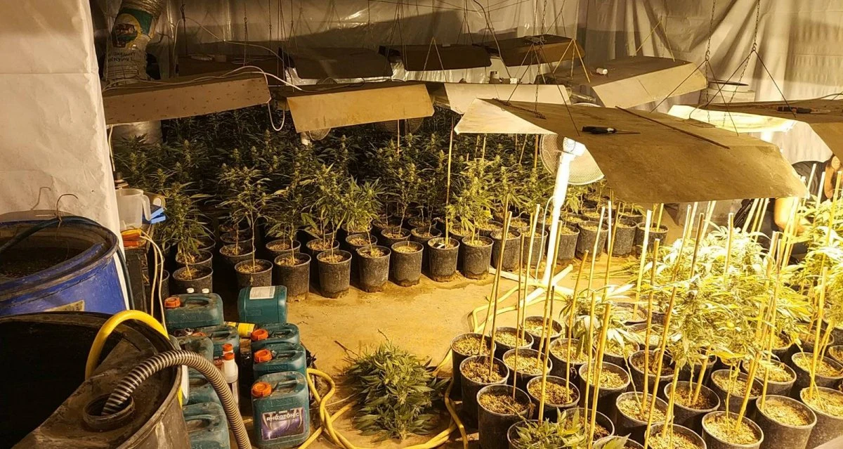 W Pabianicach w Łódzkiem policja zlikwidowała plantację konopi w śródmiejskiej kamienicy. Znaleziono m.in. 670 krzaków konopi i 8 kilogramów suszu - poinformowała rzeczniczka pabianickiej policji Ilona Sidorko. 