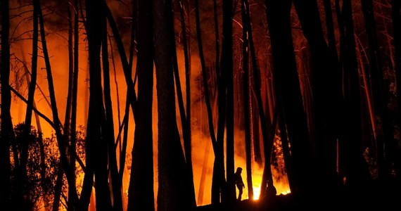 Ponad 200 strażaków walczy z dużym pożarem lasów w pobliżu andaluzyjskiej Malagi na południu Hiszpanii. Konieczna była ewakuacja około 500 ludzi.