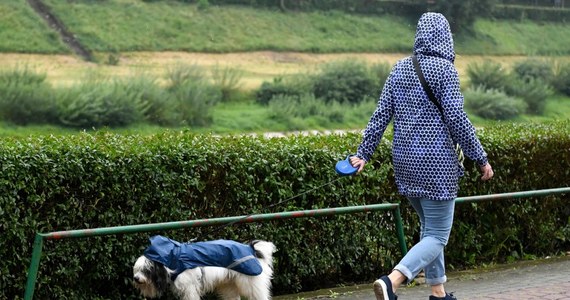 W niedzielę deszczowe chmury i burze będą się przesuwały z zachodu do centrum i wschodniej części Polski - zapowiada Małgorzata Tomczuk, synoptyk Instytutu Meteorologii i Gospodarki Wodnej. Podczas burz lokalnie wiatr może osiągnąć prędkość do 75 km/h.
W ciągu dnia, najwięcej przejaśnień, mogą się spodziewać mieszkańcy południowo-wschodniej części kraju.