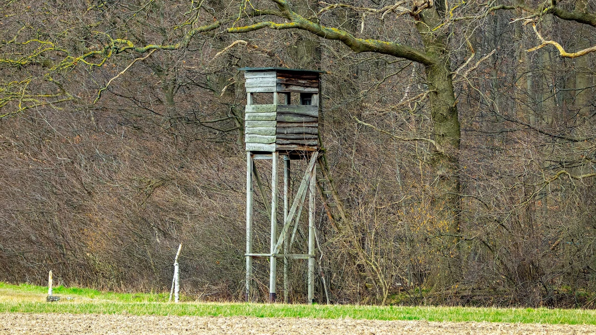 Policja i prokuratura wyjaśniają okoliczności postrzelenia przez myśliwego 14-letniego chłopca. Do zdarzenia doszło wczoraj w Załakowie, w powiecie kartuskim na Kaszubach. Nastolatek trafił do szpitala.