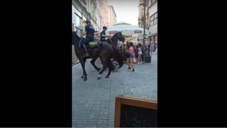 Śląskie: Trwają poszukiwania mężczyzny. Interweniowali policjanci na koniach