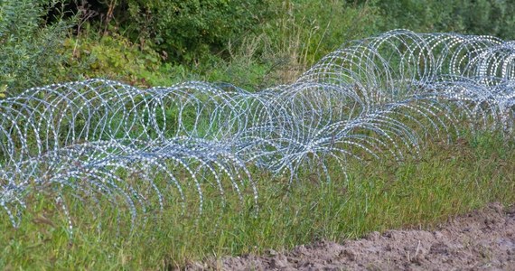 W tym miesiącu na Litwie ruszy budowa pierwszego odcinka płotu na granicy z Białorusią, który ma powstrzymywać napływ imigrantów - poinformował w poniedziałek litewski rząd, cytowany przez Agencję Reutera.