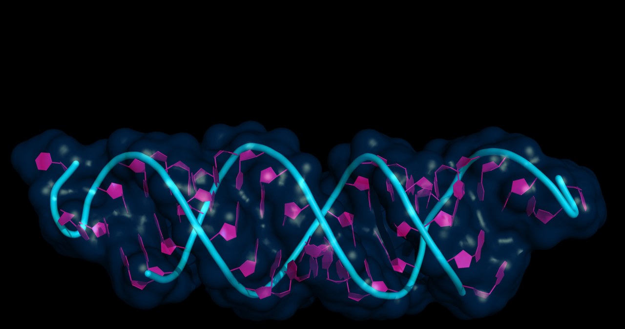 Naukowcy odkryli minerał, który mógł uruchomić narodziny życia