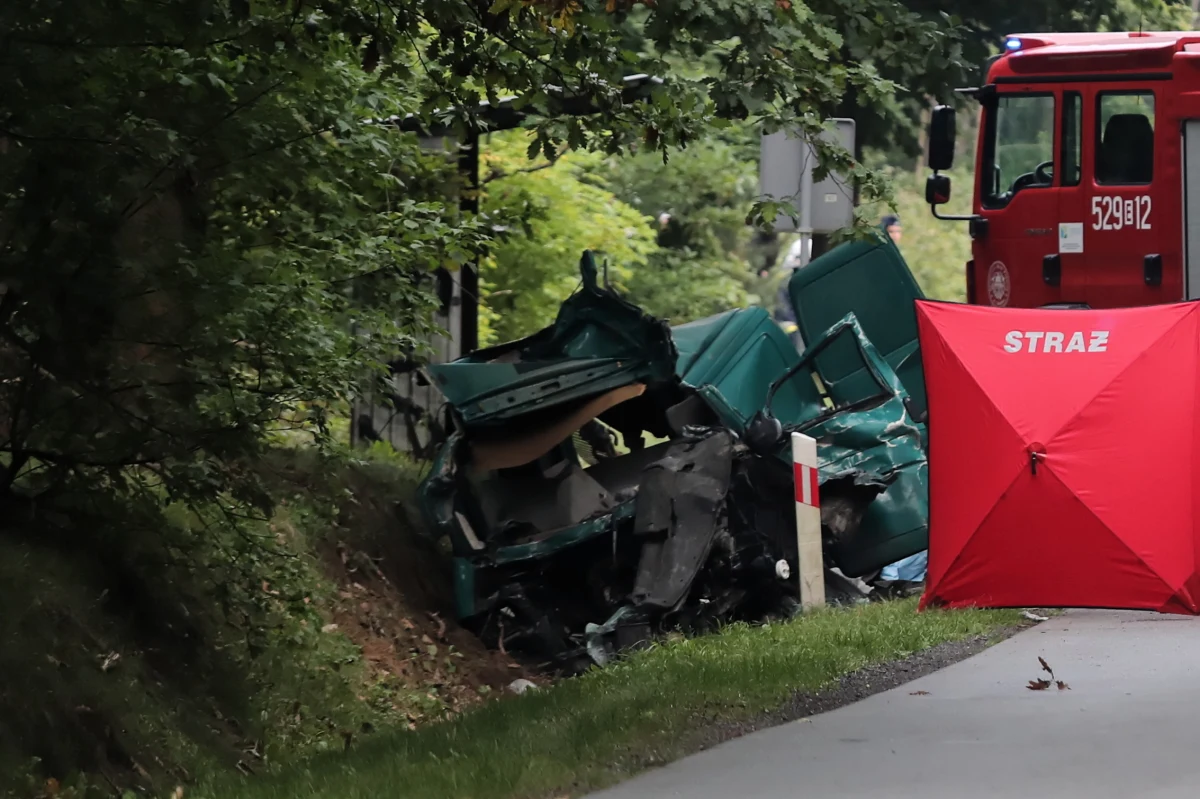 Trzy osoby zginęły w zderzeniu busa z ciężarówką na drodze wojewódzkiej nr 707 w Niemgłowach pod Rawą Mazowiecką w woj. łódzkim. Ranne zostały dwie osoby.  