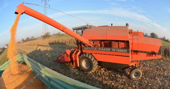 Niebezpieczna sytuacja w Bogusławicach w Wielkopolsce. Maszyna do młócenia kukurydzy wciągnęła ręce rolnika. 47-latek stracił wszystkie palce jednej dłoni. 