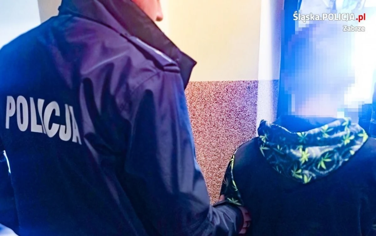 18-latek z Zabrza zranił nożem na ulicy przypadkowego przechodnia. Ofiara z poważnymi urazami trafiła do szpitala. Napastnik został już zatrzymany.