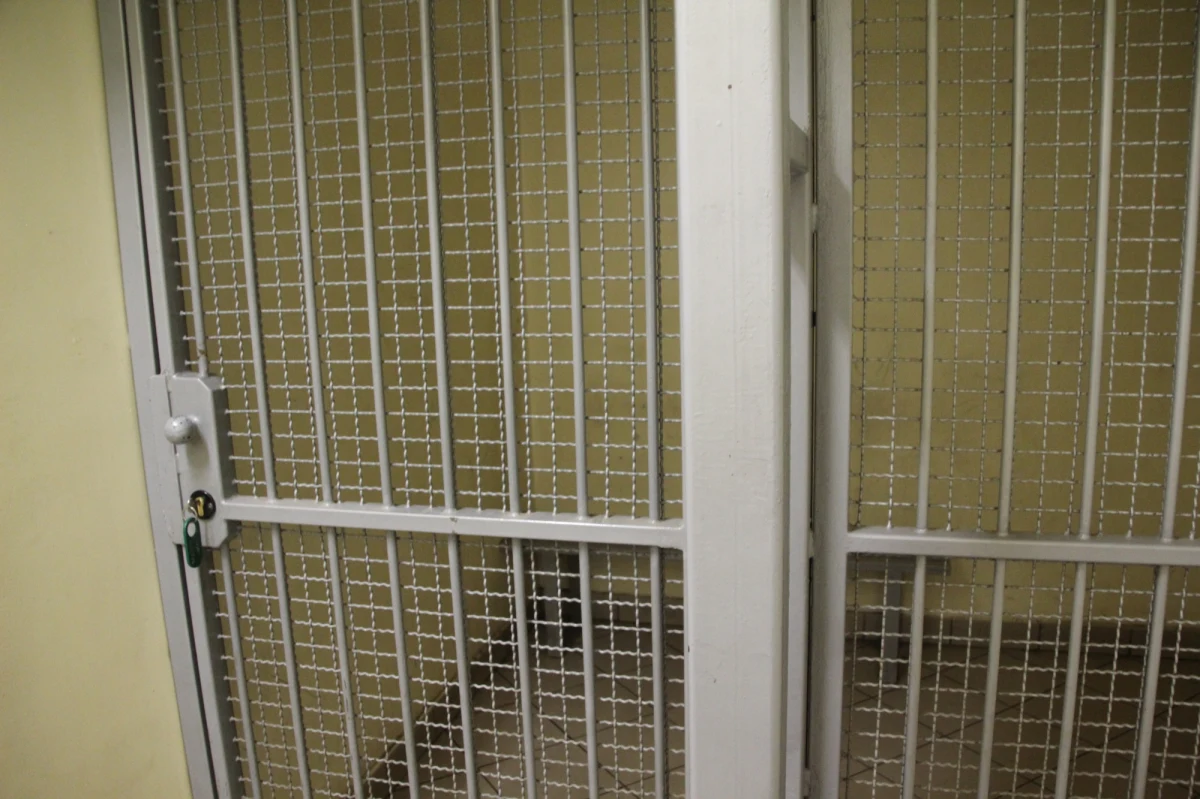 W Holandii aresztowano 52-letnią kobietę, która molestowała seksualnie dzieci w wieku od jednego do sześciu lat. Opiekunce udowodniono czyny lubieżne w stosunku do co najmniej siedmiu dzieci.