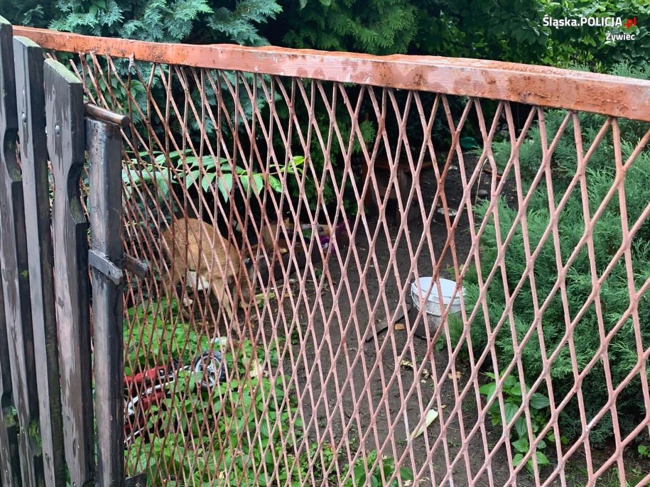 /foto. KPP w Żywcu /