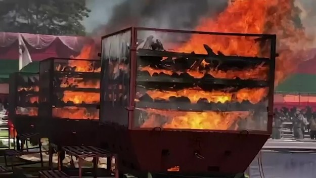 Indyjskie władze spaliły tysiące rogów nosorożców, podczas specjalnej ceremonii, która miała przypominać o konieczności ochrony tego zagrożonego gatunku. Rogi nosorożców są przedmiotem nielegalnego handlu, w wielu kulturach uchodzą za lek lub silny afrodyzjak. 