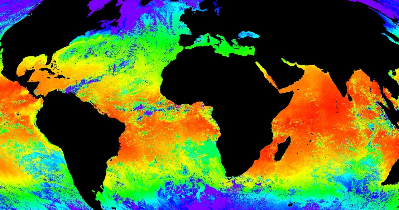 Wielki quiz klimatyczny. Sprawdź, ile wiesz o Ziemi