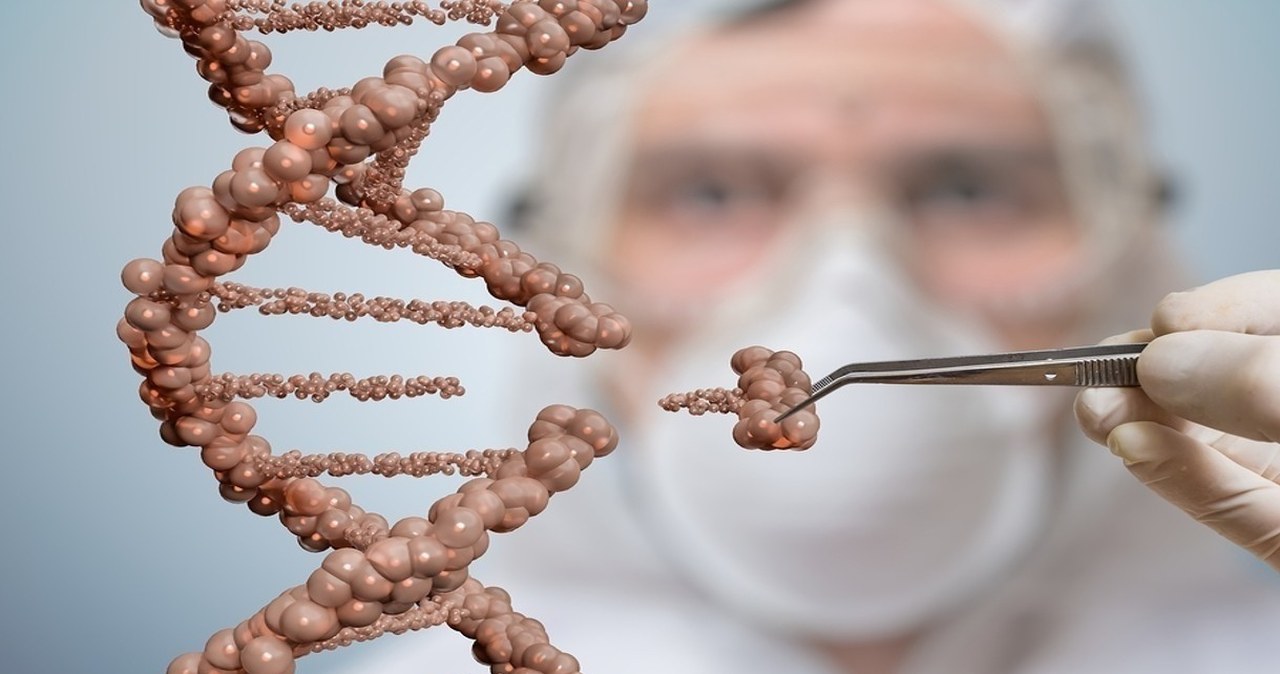 Naprawa DNA daje szansę na długie życie. Jak wspomóc regenerację?