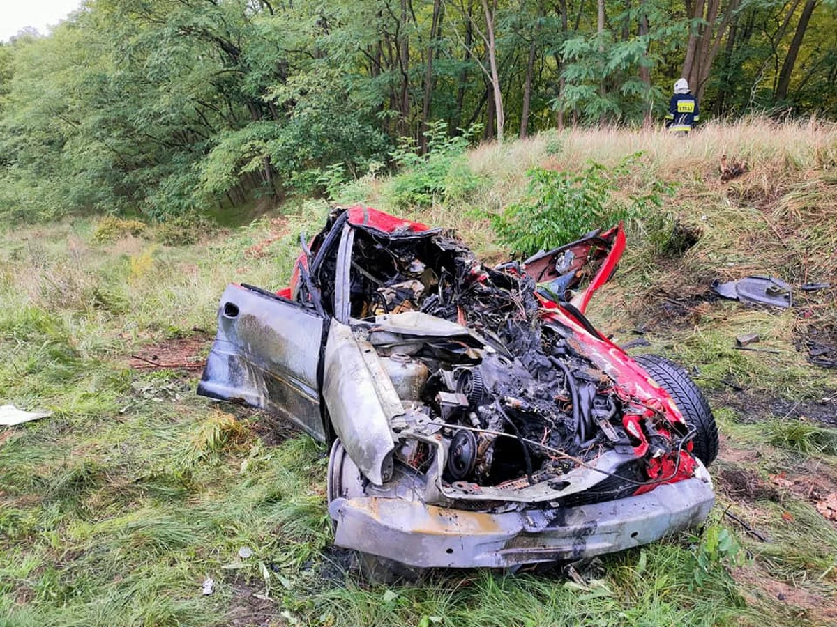 27-latka i dwoje jej dzieci w wieku 5 i 7 lat zostali ranni w wypadku na niestrzeżonym przejeździe z sygnalizacją świetlną w Motylewie, w pow. gorzowskim. Auto staneło w płomieniach, matce jednak udało się z niego wyciągnąć dzieci. 