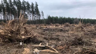 Warmińsko-mazurskie: Parafia ukarana gigantyczną karą. Złożono odwołanie 