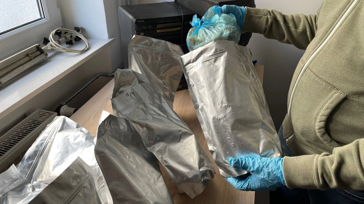 Funkcjonariusze z Centralnego Biura Śledczego Policji wspólnie z kryminalnymi z Pruszkowa zatrzymali dwóch mężczyzn podejrzanych o posiadanie dużej ilości substancji psychotropowej - poinformowała PAP rzeczniczka Centralnego Biura Śledczego Policji podinsp. Iwona Jurkiewicz. Śledczy podczas akcji zabezpieczyli 14 kilogramów klefedronu.