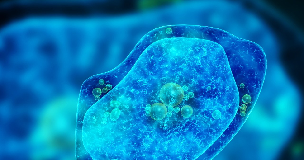 Zagrożenie ukryte w wodzie. "Konie trojańskie" z groźnymi wirusami