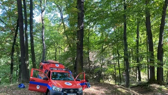 Sudety. Wypadek w okolicach zamku Stary Książ. Nastolatek spadł w wąwóz