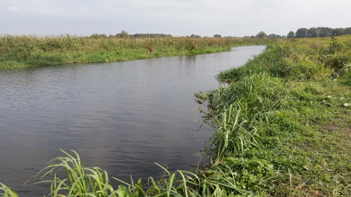 Tragedia w Pułtusku. Z rzeki Narew wyłowiono ciało małej dziewczynki. Kilka kilometrów dalej w rzece znaleziono również ciało jej matki. Sprawą zajmuje się policja pod nadzorem pułtuskiej prokuratury. 