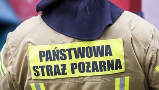 Śląskie: Kilkaset zwierząt zginęło w pożarze budynku gospodarczego w Bieńkowicach