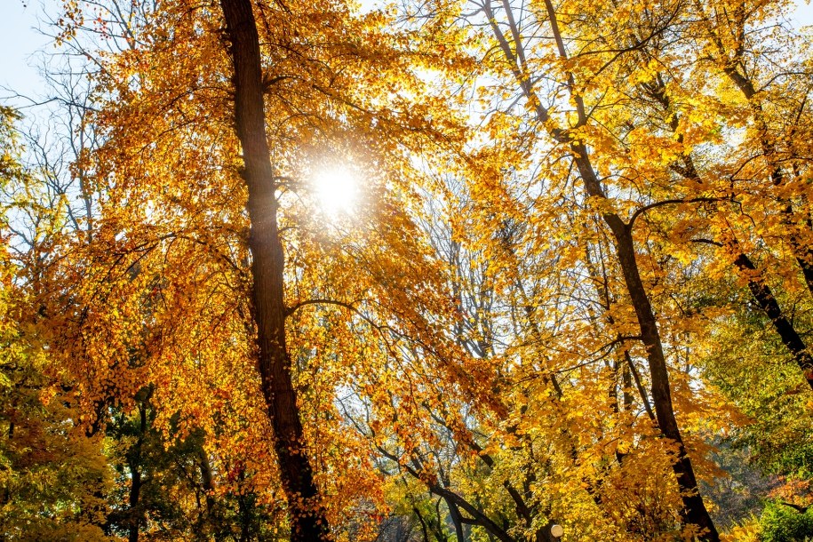 Pogodny początek tygodnia. Dziś nawet 24 stopnie! [SRAWDŹ PROGNOZĘ]