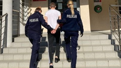 Gdańsk: 18-latek kopał swojego psa. Grozi mu 5 lat więzienia