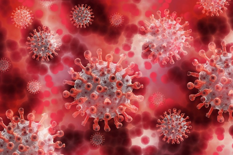 Od początku pandemii koronawirusa pracujemy nie tylko nad szczepionkami, które mają chronić przed ciężkim przebiegiem i zgonem z powodu choroby, ale i lekami wspomagającymi jej leczenie w trakcie.