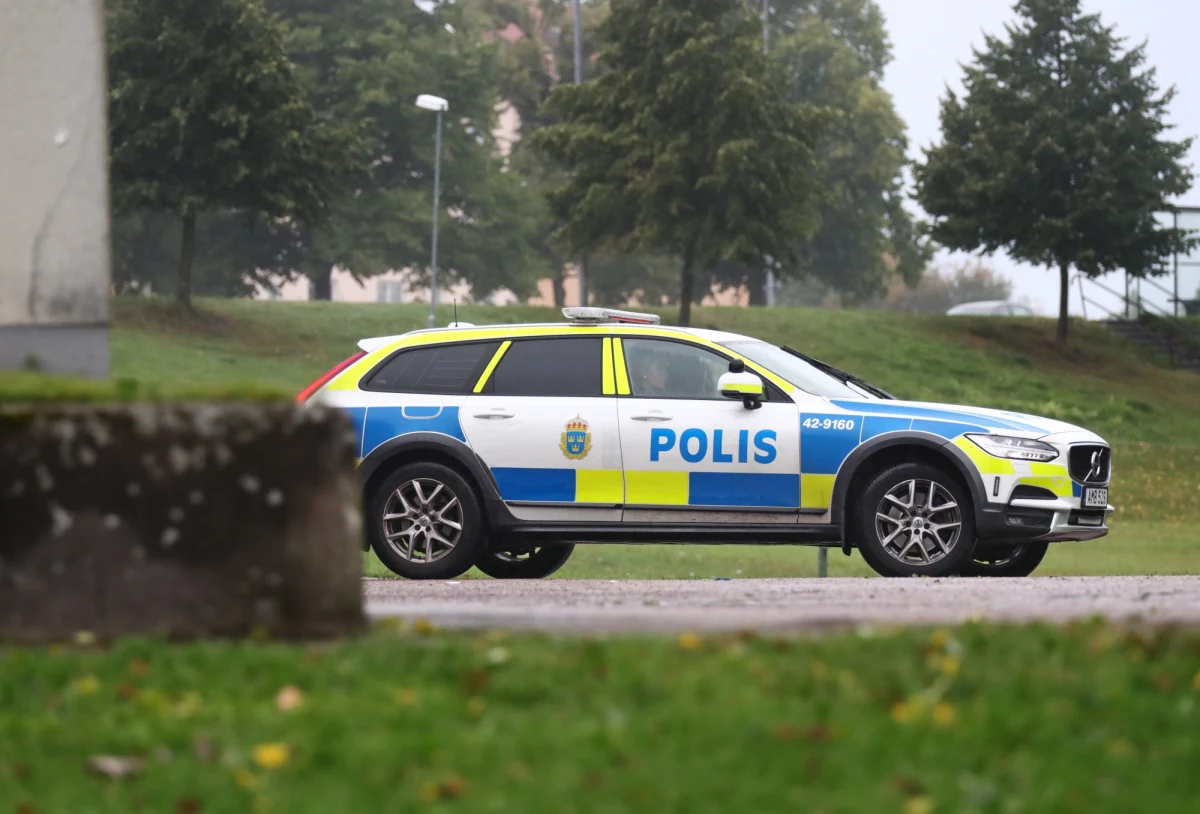 Przy stacji benzynowej w Ystad dzieci znalazły torebkę z kartą kredytową i telefonem zaginionej pod koniec września w Malmoe 32-letniej Polki - podała lokalna gazeta "Ystads Allehanda".