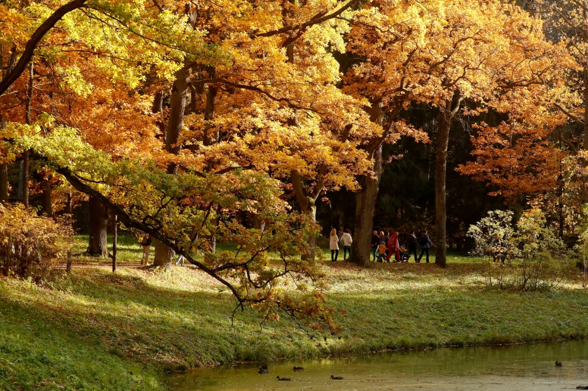 Wtorek może być ostatnim dniem z temperaturami dochodzącymi do 25 stopni Celsjusza. Od środy będzie już zdecydowanie chłodniej - powiedział Michał Ogrodnik, synoptyk Instytutu Meteorologii i Gospodarki Wodnej.