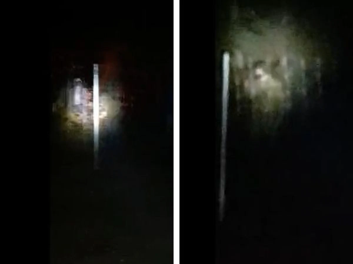 Dwie grupy liczące po 90 i 130 osób próbowały siłowo forsować granicę polsko-białoruską – poinformowała straż graniczna. Mundurowi opublikowali nagranie pokazujące grupę migrantów przy granicy.