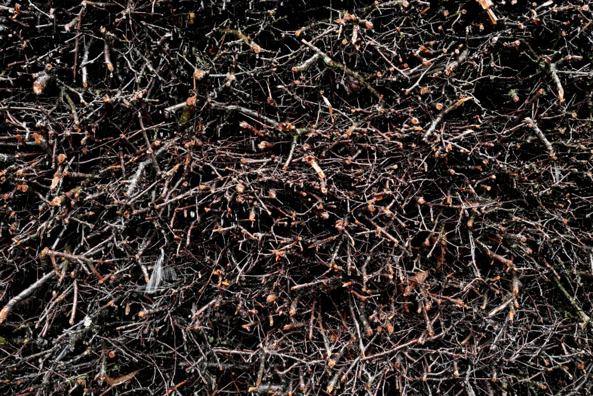 Tężnia solankowa w parku Bagry Wielkie w Krakowie została otwarta – podał magistrat. Całkowita wartość inwestycji, wraz z budową małej architektury, wynosi 2,2 mln złotych. To drugi taki obiekt miejski.