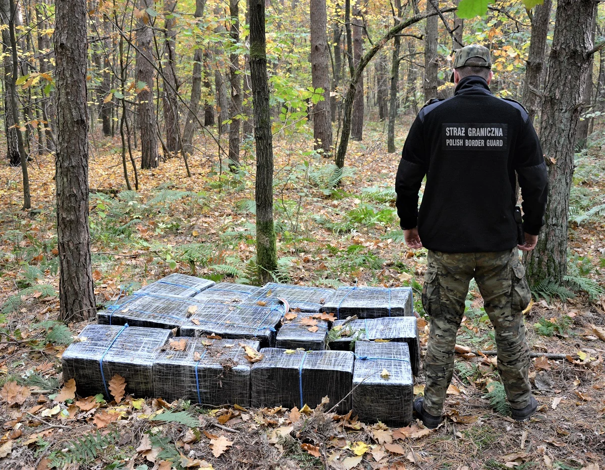 Strażnicy graniczni ustalają sprawców przemytu 9 tys. paczek papierosów o wartości ponad 134 tys. zł, które funkcjonariusze odnaleźli w pobliżu Bugu - poinformował rzecznik NOSG.