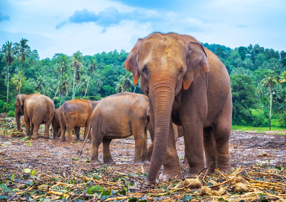 /depositphotos.com /