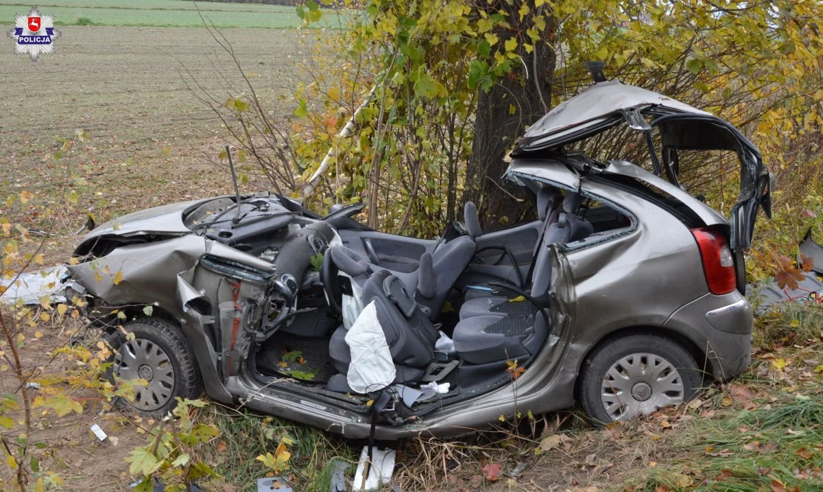 3 osoby trafiły do szpitala po porannym wypadku na drodze powiatowej między Przewłoką a Dębową Kłodą na Lubelszczyźnie. Auto osobowe wypadło tam z drogi i uderzyło w drzewo. 