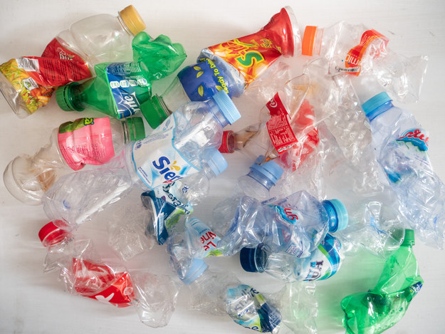 Naukowcy odkryli bakterię, która zmienia szkodliwy plastik w dobry
