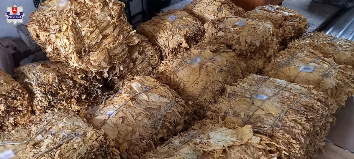 Blisko 700 kilogramów suszu tytoniu, przewoził w busie 40-latek. Mężczyzna został zatrzymany do kontroli drogowej przez policjantów. Teraz grozi mu kara grzywny.