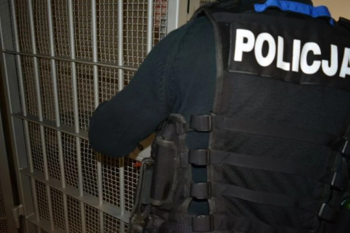 Policjanci z Komisariatu Policji w Gdyni - Śródmieściu zatrzymali mężczyznę, który był poszukiwany pięcioma listami gończymi i ukrywał się w piwnicy, w domu swojej matki. Funkcjonariusze przewieźli go do policyjnej celi, skąd został przetransportowany do aresztu.