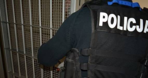 Policjanci z Komisariatu Policji w Gdyni - Śródmieściu zatrzymali mężczyznę, który był poszukiwany pięcioma listami gończymi i ukrywał się w piwnicy, w domu swojej matki. Funkcjonariusze przewieźli go do policyjnej celi, skąd został przetransportowany do aresztu.