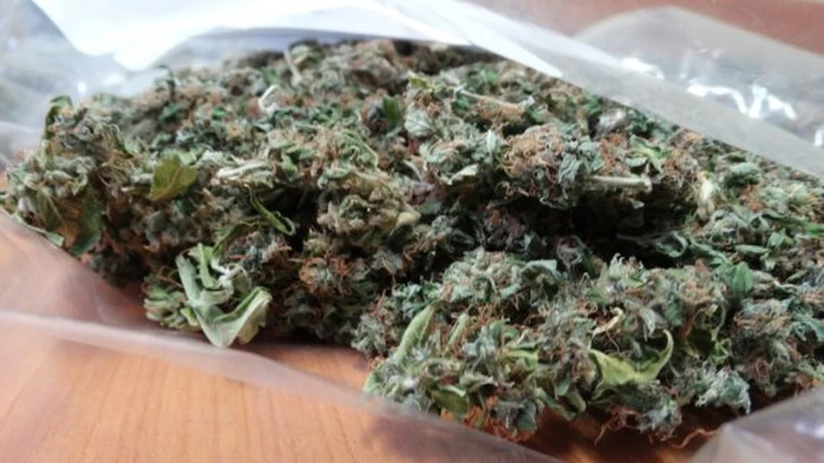 Usłyszą zarzuty posiadania narkotyków. Chodzi o 17-latka i jego 3 lata starszego kolegę, których zatrzymali policjanci ze służby patrolowo-interwencyjnej. Marihuanę ukryli w odzieży.