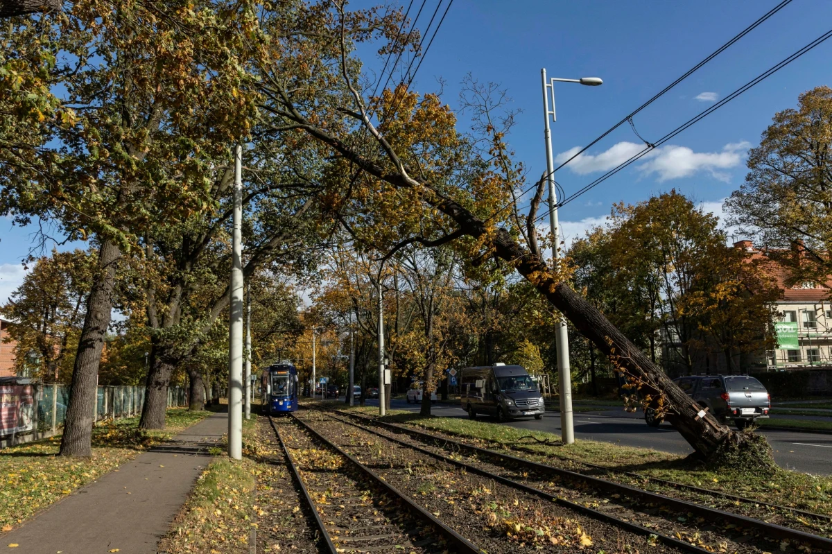 Ze względu na silny wiatr Rządowe Centrum Bezpieczeństwa wysyła specjalne powiadomienia z ostrzeżeniem do mieszkańców dziewięciu województw, głównie w północnej części kraju. Zgodnie z prognozami IMGW prędkość wiatru może gdzieniegdzie sięgnąć nawet 100 km/h.
