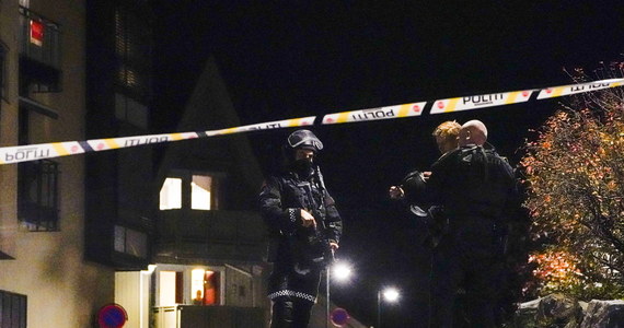 Większość z pięciu osób, które przed tygodniem zabił w Kongsbergu w Norwegii 37-letni Duńczyk Espen Andersen Brathen, została zaatakowana w swoich domach - podała norweska policja. Na konferencji prasowej inspektor policji Per Thomas Omholt ujawnił kolejne szczegóły z toczącego się śledztwa.