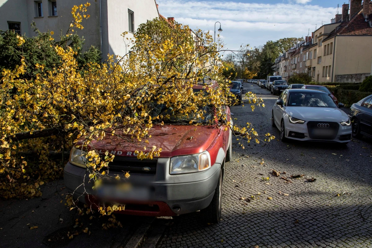 W bieżącym roku firmy ubezpieczeniowe odnotowują rekordowo dużo szkód katastroficznych, czyli zniszczeń spowodowanych złymi warunkami atmosferycznymi. PZU informuje, że szkody spowodowane śniegiem i lodem wzrosły o 3360. proc.