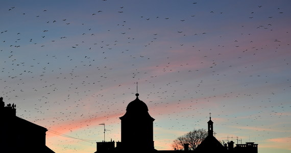 We wtorek nad północno-zachodnim krańcem Polski pojawi się front atmosferyczny z przelotnymi opadami deszczu. Na przeważającym obszarze kraju będzie pogodnie - powiedział Szymon Ogórek, synoptyk IMGW-PIB.